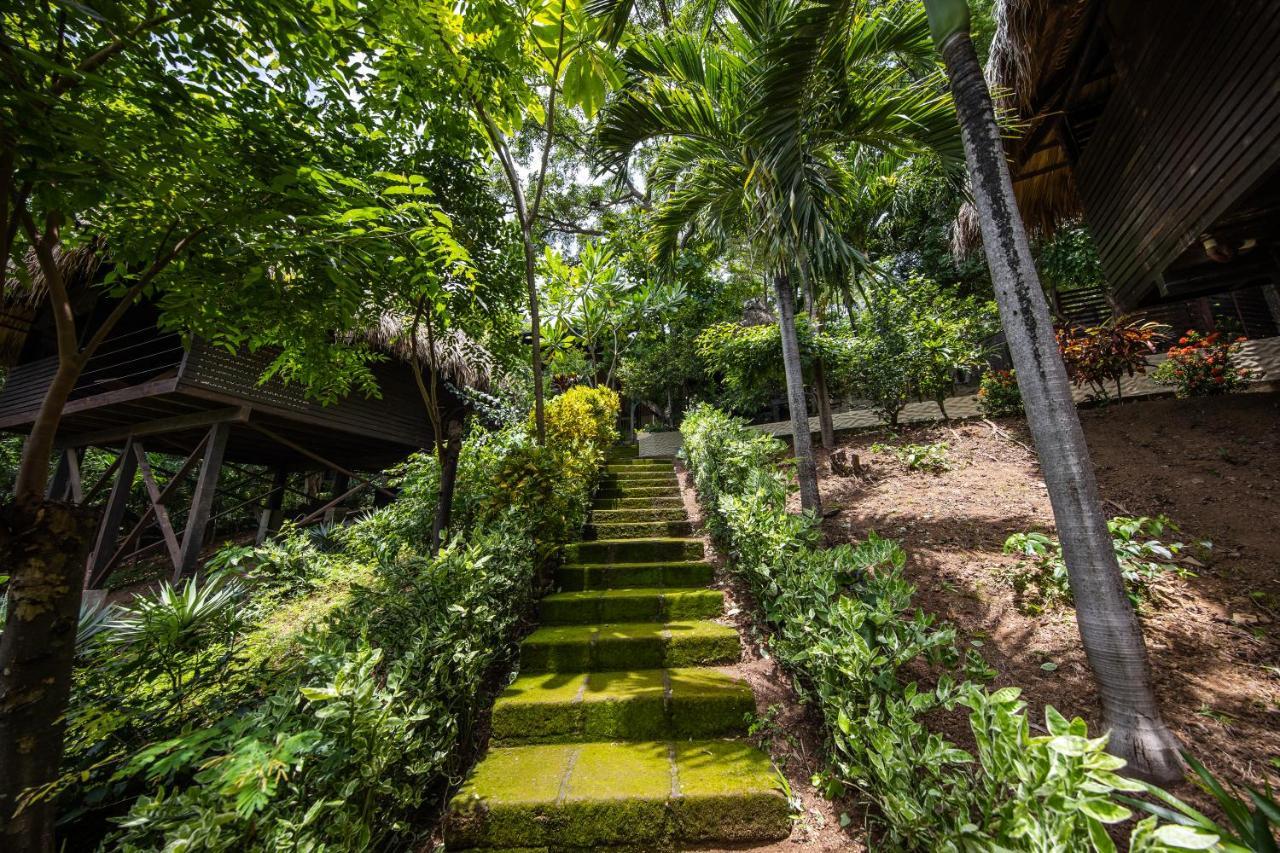 Hotel Buena Vista Surf Club El Plantel Exteriér fotografie